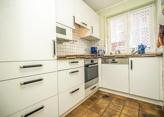 Seeschwalbe, Vermittlung Nordsee *